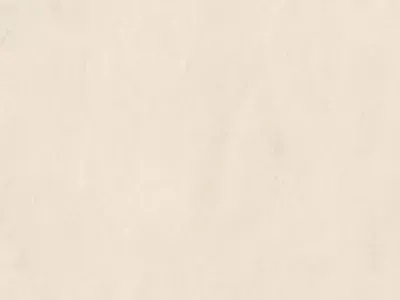 Dekor R198 PT Sandstone: powierzchnia płyty